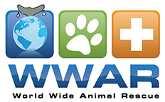Stichting DierenLot