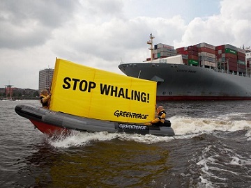 Samskip stopt transport IJslands walvisvlees
