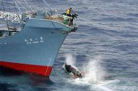 Japanse walvisvaarders weer de zee op